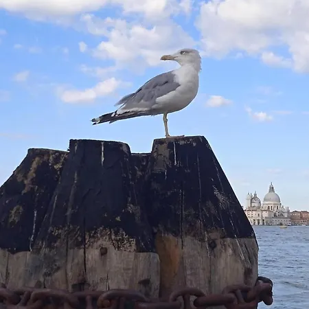 Campo Ruga 314 Lägenhet Venedig